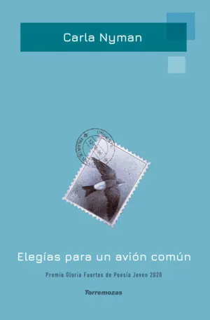 ELEGIAS PARA UN AVION COMUN