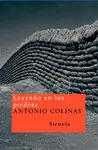 LEYENDO EN LAS PIEDRAS NT-86 LEYENDO EN LAS PIEDRAS NT-86