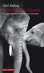MENTES MARAVILLOSAS MENTES MARAVILLOSAS