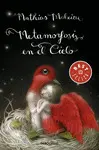 METAMORFOSIS EN EL CIELO METAMORFOSIS EN EL CIELO
