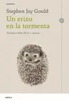 UN ERIZO EN LA TORMENTA
