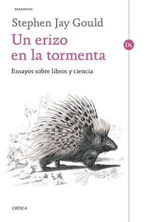 UN ERIZO EN LA TORMENTA