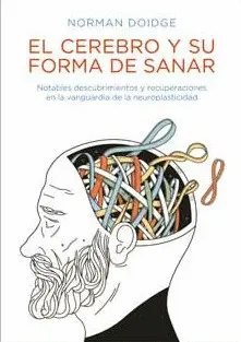 EL CEREBRO Y SU FORMA DE SANAR EL CEREBRO Y SU FORMA DE SANAR