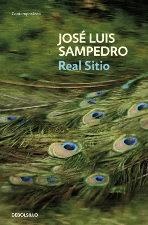 REAL SITIO (CIRCULOS TIEMPO 3)