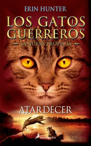 ATARDECER (GATOS GUERREROS-NUEVA PROF 6) ATARDECER (GATOS GUERREROS-NUEVA PROF 6)