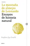 LA MONTAÑA DE ALMEJAS DE LEONARDO