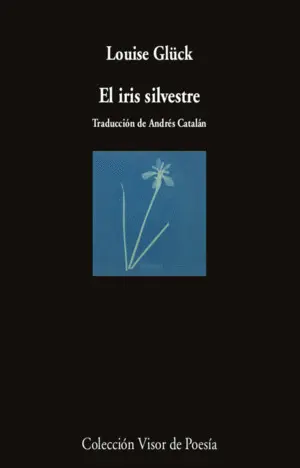 EL IRIS SILVESTRE EL IRIS SILVESTRE