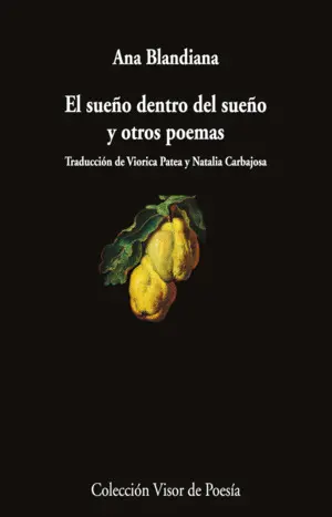 EL SUEÑO DENTRO DEL SUEÑO Y OTROS POEMAS EL SUEÑO DENTRO DEL SUEÑO Y OTROS POEMAS