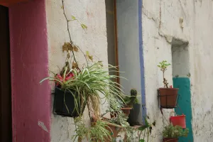 EL BAIX GUINARDÓ. NOCAMINEU 2025-2026 DIUMENGES