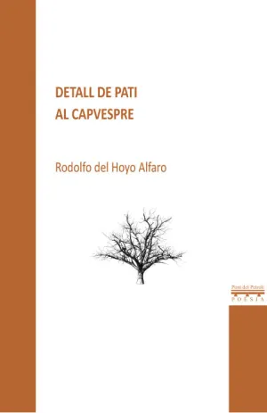 DETALL DE PATI AL CAPVESPRE