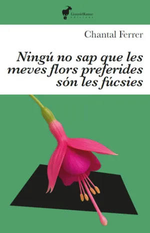 NINGÚ SAP QUE LES MEVES FLORS PREFERIDES SÓN LES FÚCSIES